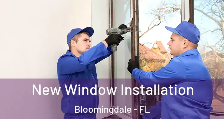New Window Installation Bloomingdale - FL