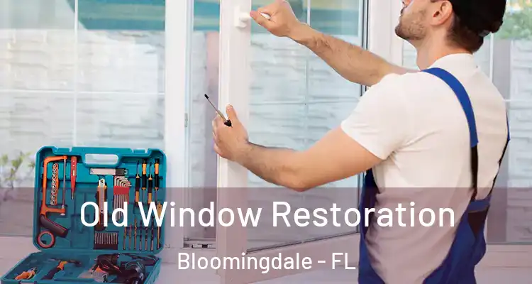 Old Window Restoration Bloomingdale - FL