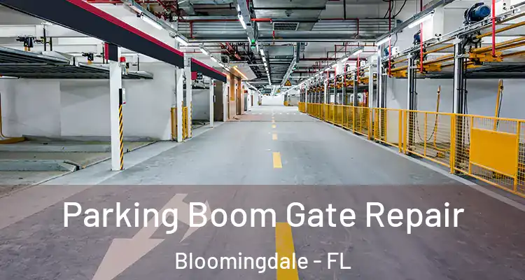 Parking Boom Gate Repair Bloomingdale - FL