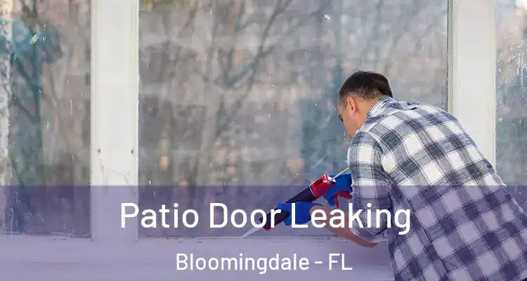Patio Door Leaking Bloomingdale - FL