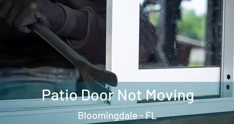  Patio Door Not Moving Bloomingdale - FL