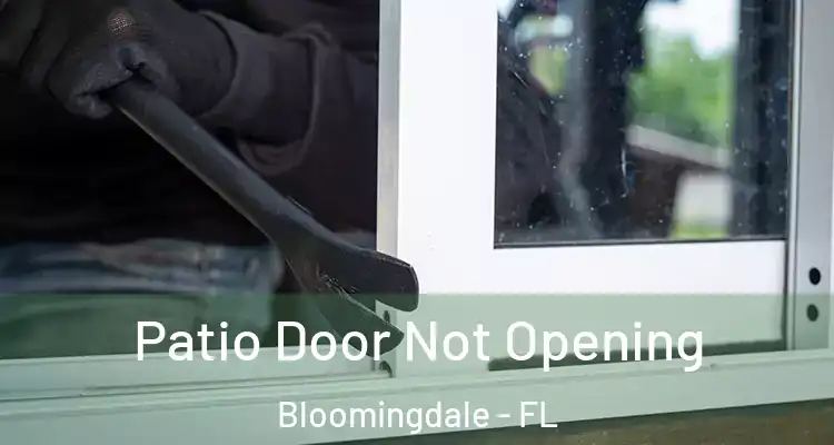 Patio Door Not Opening Bloomingdale - FL