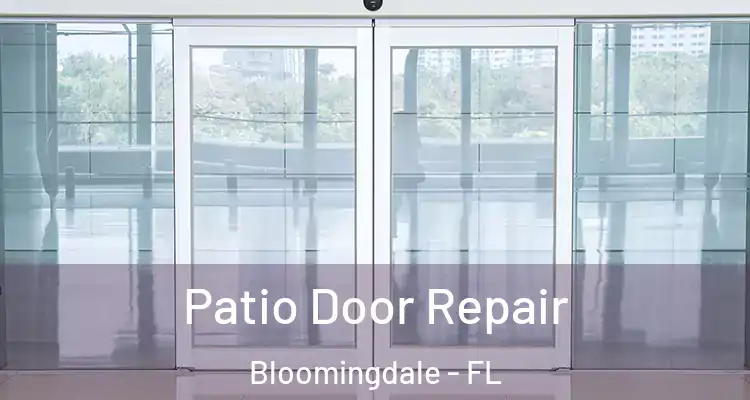 Patio Door Repair Bloomingdale - FL