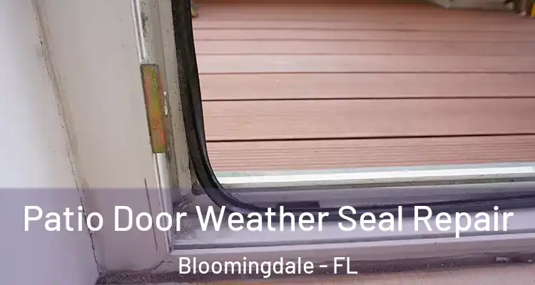 Patio Door Weather Seal Repair Bloomingdale - FL