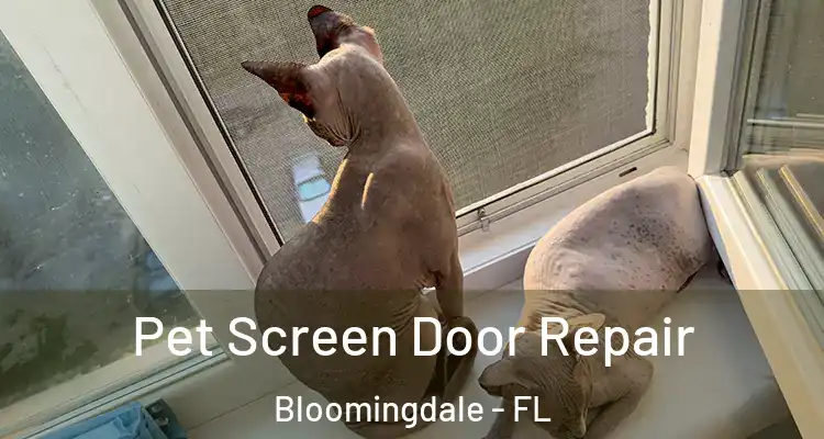 Pet Screen Door Repair Bloomingdale - FL