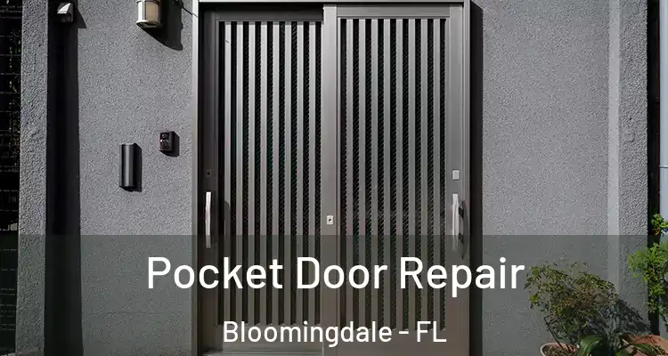 Pocket Door Repair Bloomingdale - FL