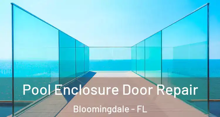 Pool Enclosure Door Repair Bloomingdale - FL