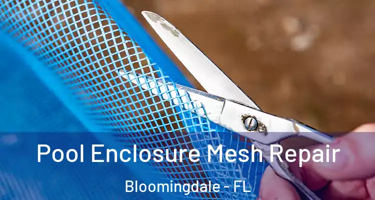 Pool Enclosure Mesh Repair Bloomingdale - FL