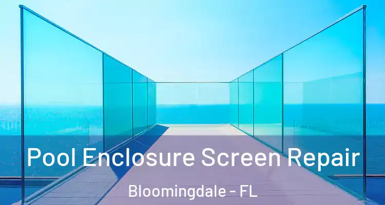 Pool Enclosure Screen Repair Bloomingdale - FL