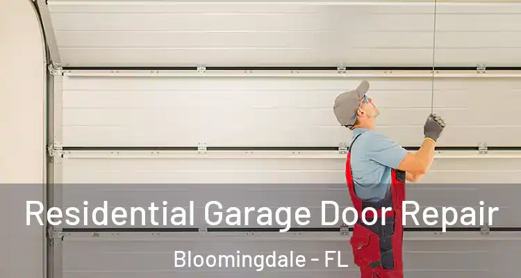 Residential Garage Door Repair Bloomingdale - FL