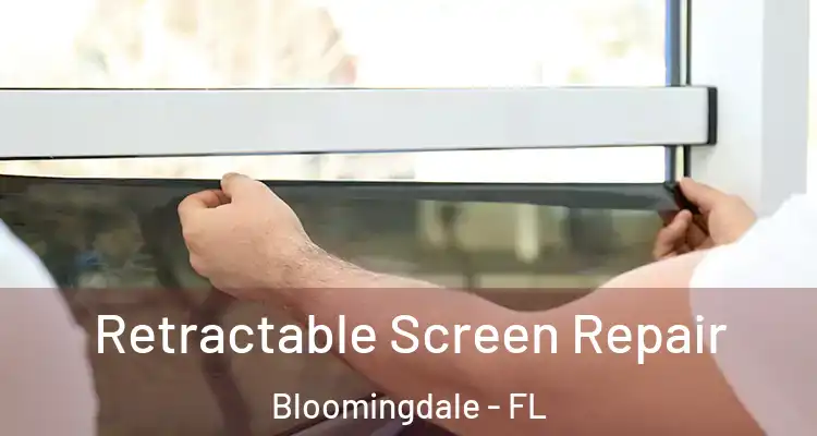 Retractable Screen Repair Bloomingdale - FL