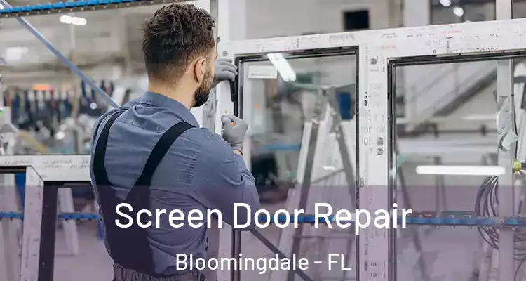 Screen Door Repair Bloomingdale - FL