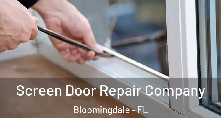 Screen Door Repair Company Bloomingdale - FL