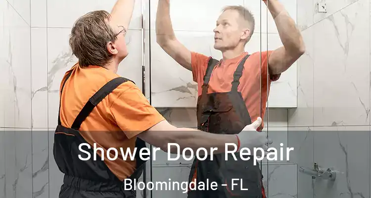 Shower Door Repair Bloomingdale - FL