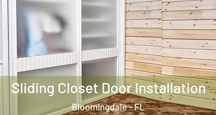 Sliding Closet Door Installation Bloomingdale - FL