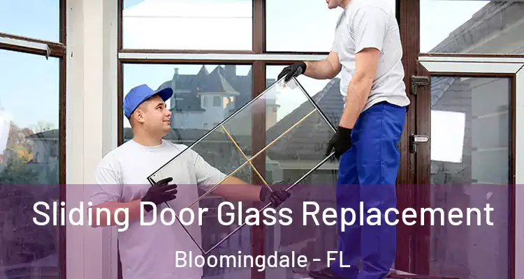 Sliding Door Glass Replacement Bloomingdale - FL
