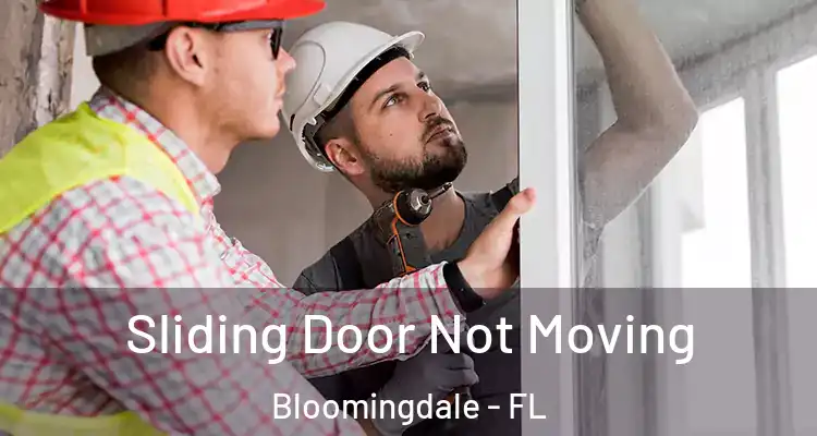 Sliding Door Not Moving Bloomingdale - FL