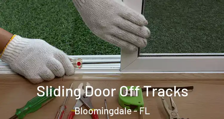 Sliding Door Off Tracks Bloomingdale - FL