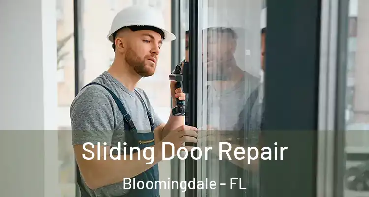 Sliding Door Repair Bloomingdale - FL