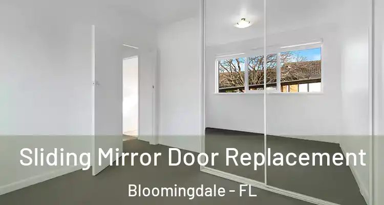  Sliding Mirror Door Replacement Bloomingdale - FL