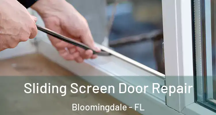 Sliding Screen Door Repair Bloomingdale - FL
