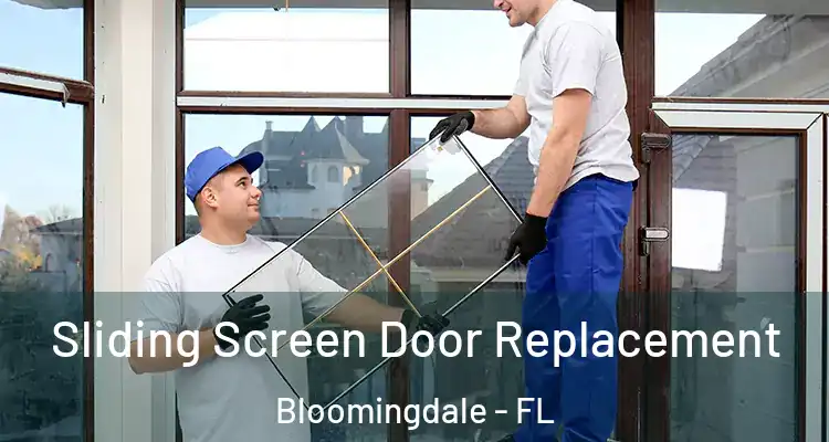 Sliding Screen Door Replacement Bloomingdale - FL