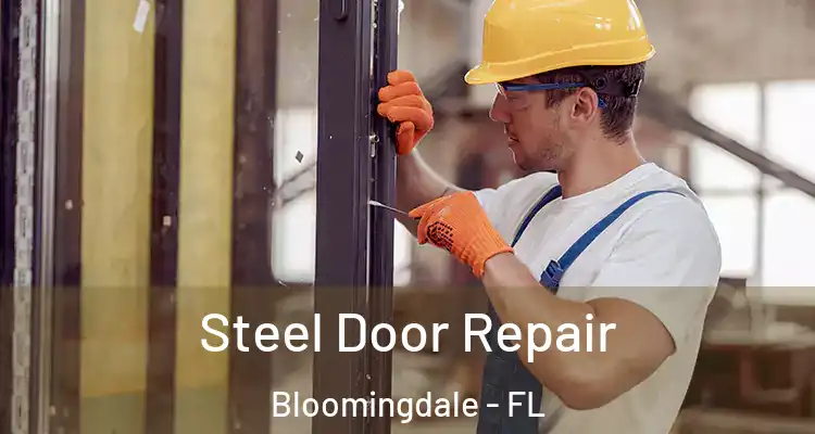 Steel Door Repair Bloomingdale - FL