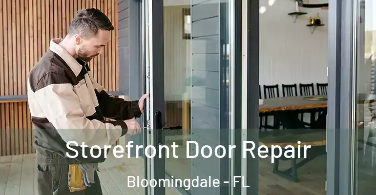 Storefront Door Repair Bloomingdale - FL