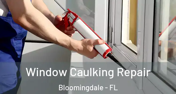 Window Caulking Repair Bloomingdale - FL