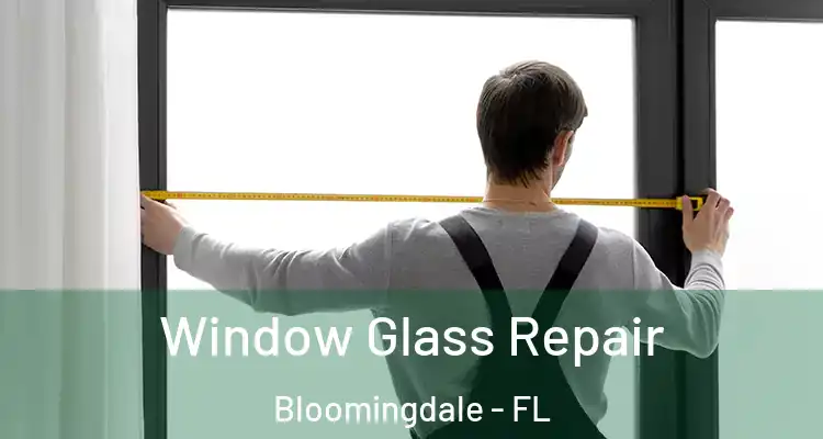 Window Glass Repair Bloomingdale - FL