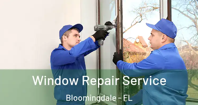 Window Repair Service Bloomingdale - FL