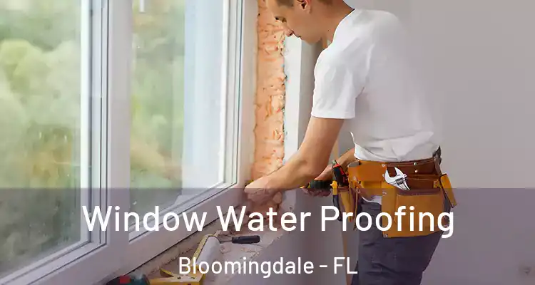 Window Water Proofing Bloomingdale - FL