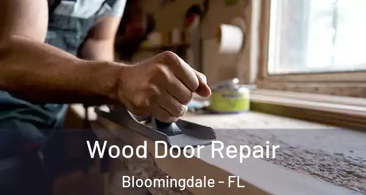 Wood Door Repair Bloomingdale - FL